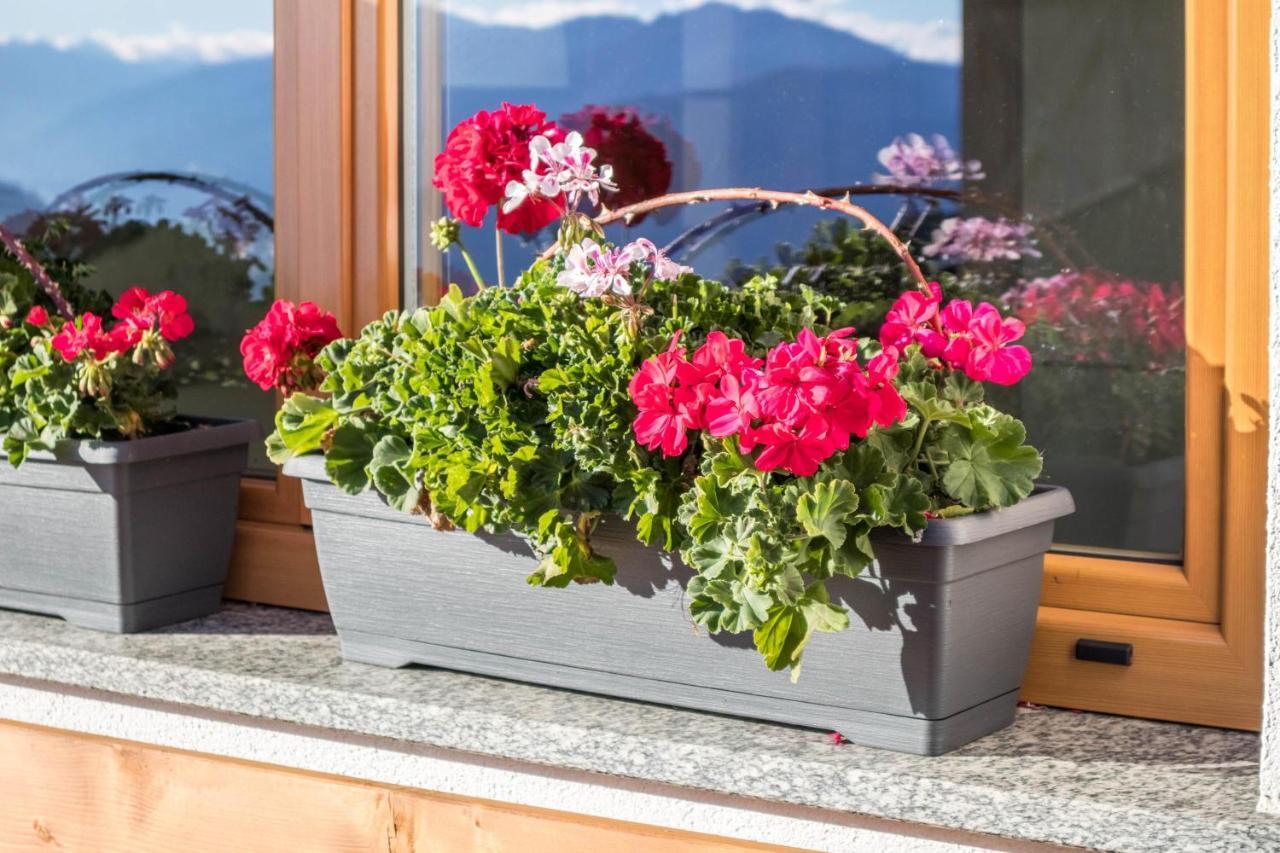 Tonigbauernhof Blumenwiese Schenna Εξωτερικό φωτογραφία