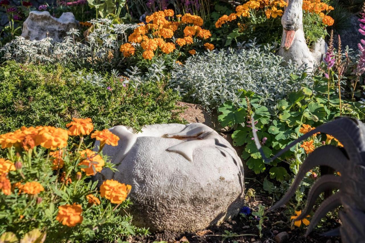 Tonigbauernhof Blumenwiese Schenna Εξωτερικό φωτογραφία