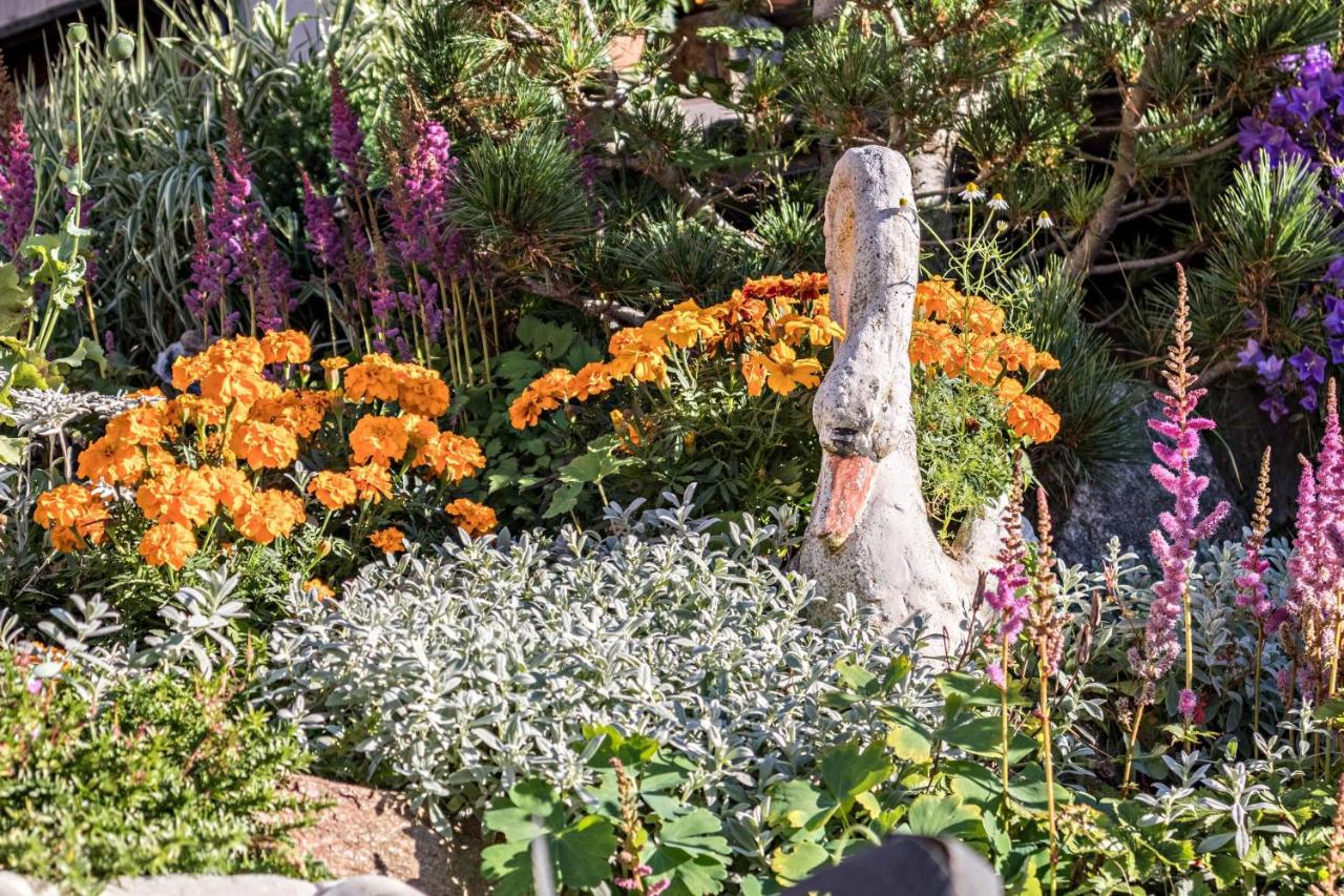 Tonigbauernhof Blumenwiese Schenna Εξωτερικό φωτογραφία